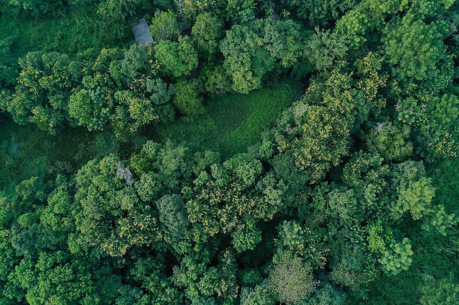 Nachhaltig Bachelorarbeit drucken Hero